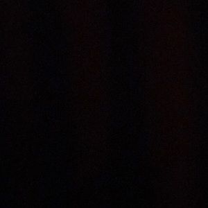 Meet your Posher, Suzette